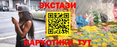 крисы Шебекино
