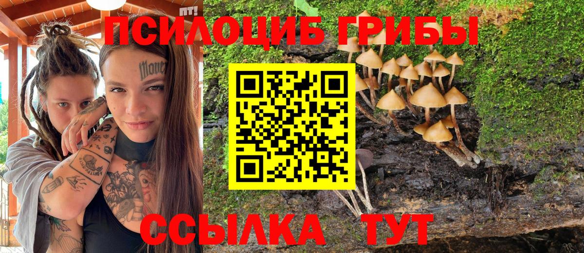 Нововоронеж  Галлюциногенные грибы прущие грибы  Вход с VPN 
