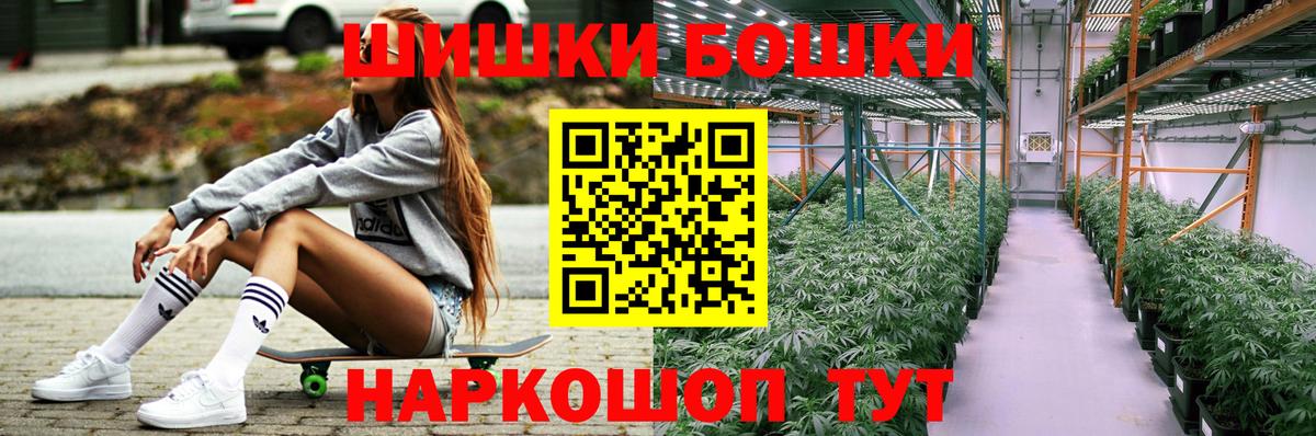 Бошки Шишки семена Нововоронеж